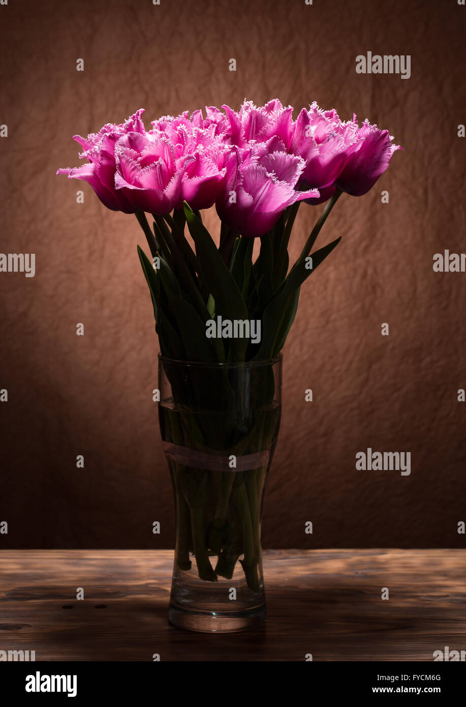 Bouquet von violette Tulpen. Stockfoto