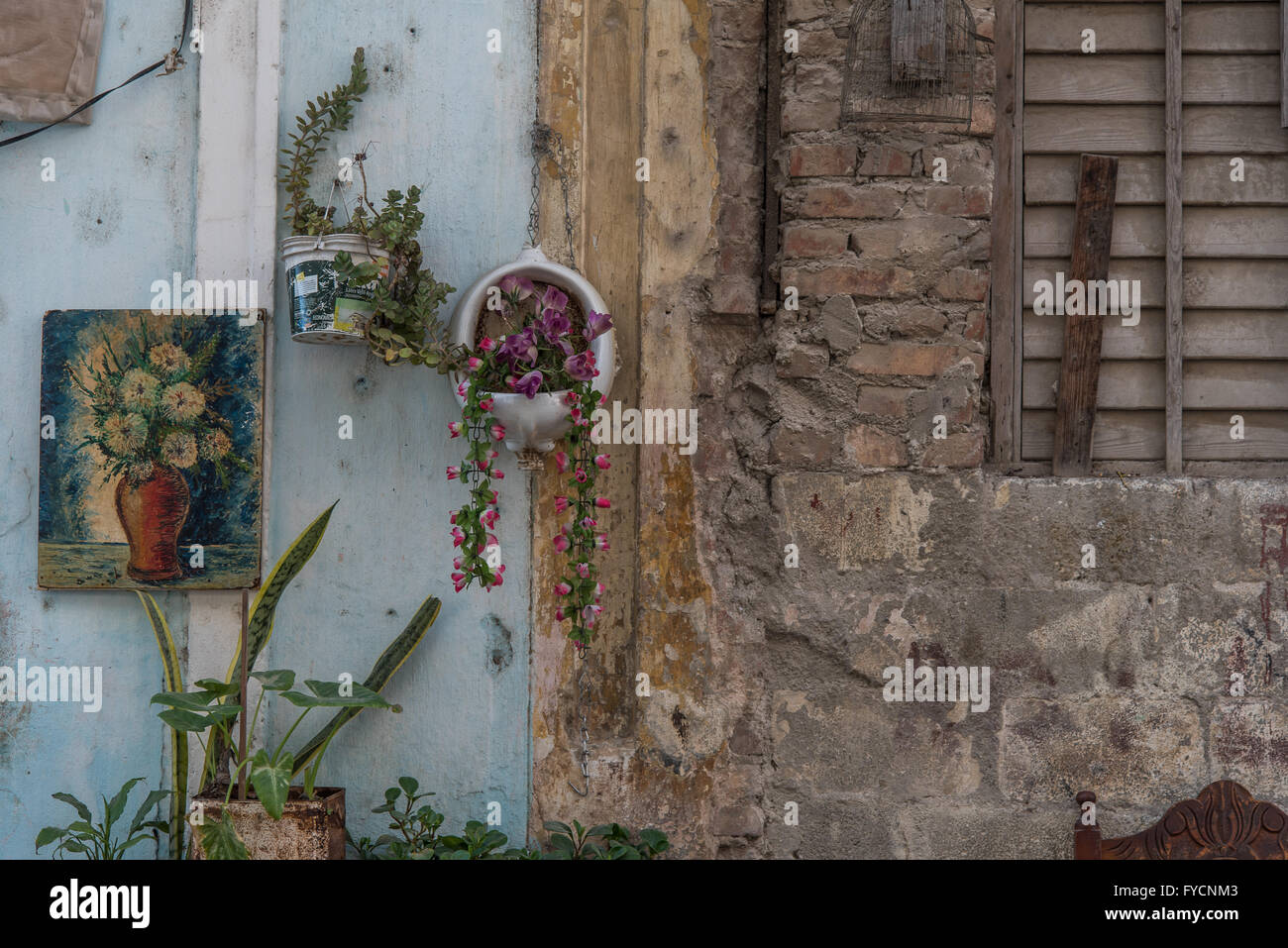 Ein interessant eingerichtete rustikale Wand mit einer alten Urinal als ein Blumentopf.  Alt-Havanna, Kuba Stockfoto