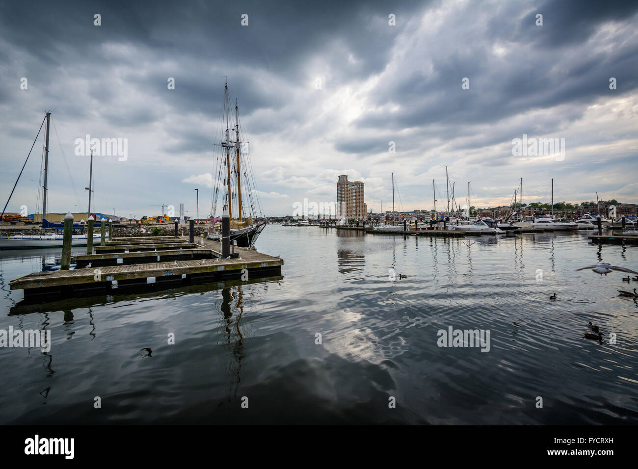 Gewitterwolken über Docks und Boote im Hafen Ost, Baltimore, Maryland. Stockfoto