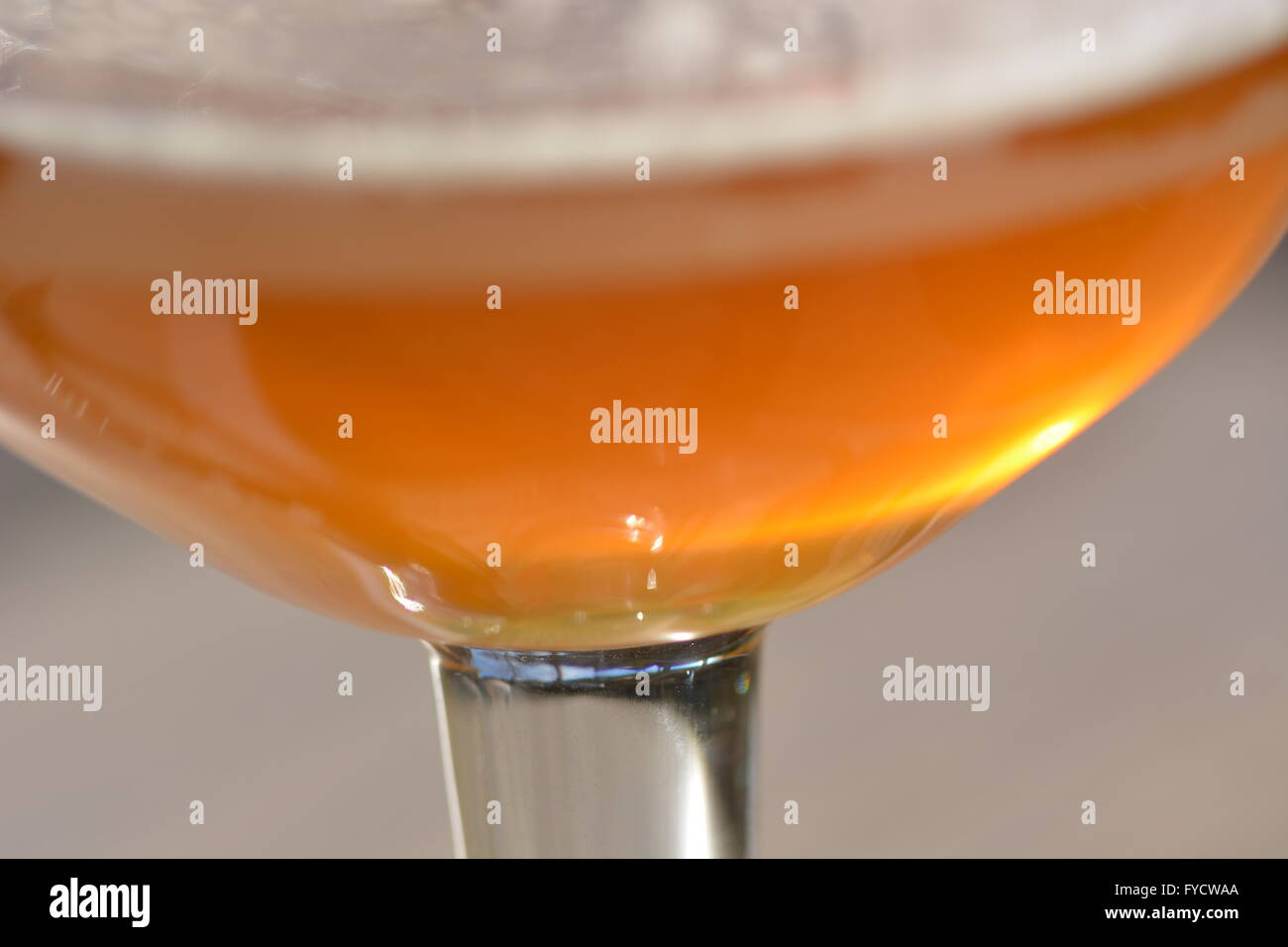 Goldene Bierglas mit Schaum Stockfoto