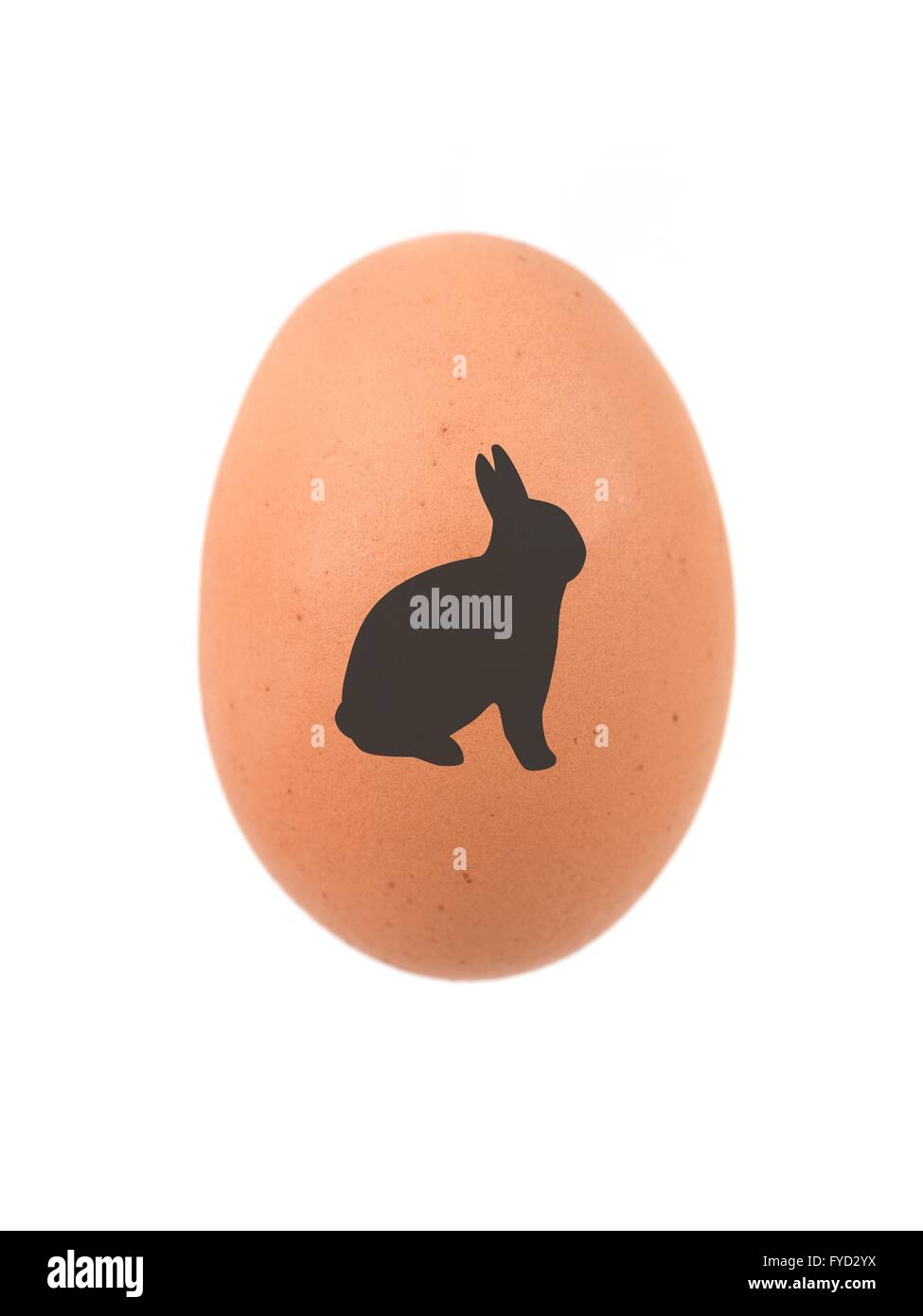 Ein Ei mit einem Oster-Bunny-Symbol vor einem weißen Hintergrund isoliert Stockfoto