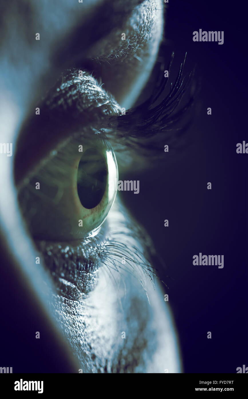 Closeup auf menschliche weibliche Auge Stockfoto