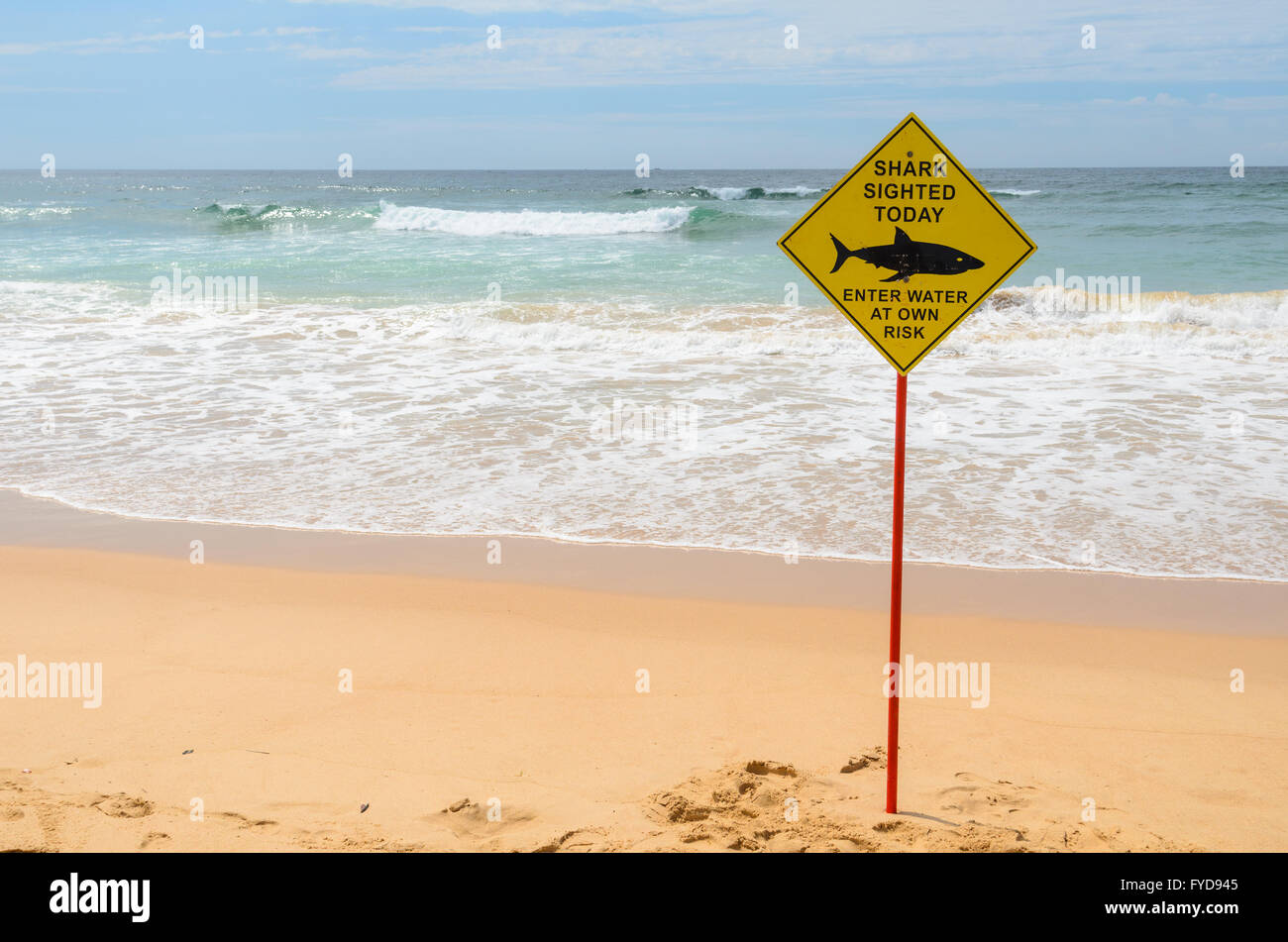 Hai-Sichtung Schild am Manly Beach, Sydney Stockfoto