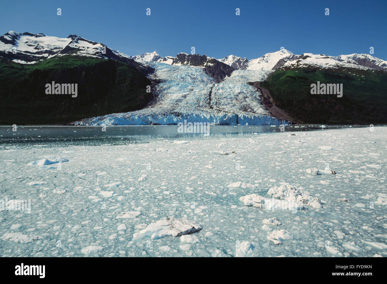 Berge und Gletscher in Alasksa Stockfoto