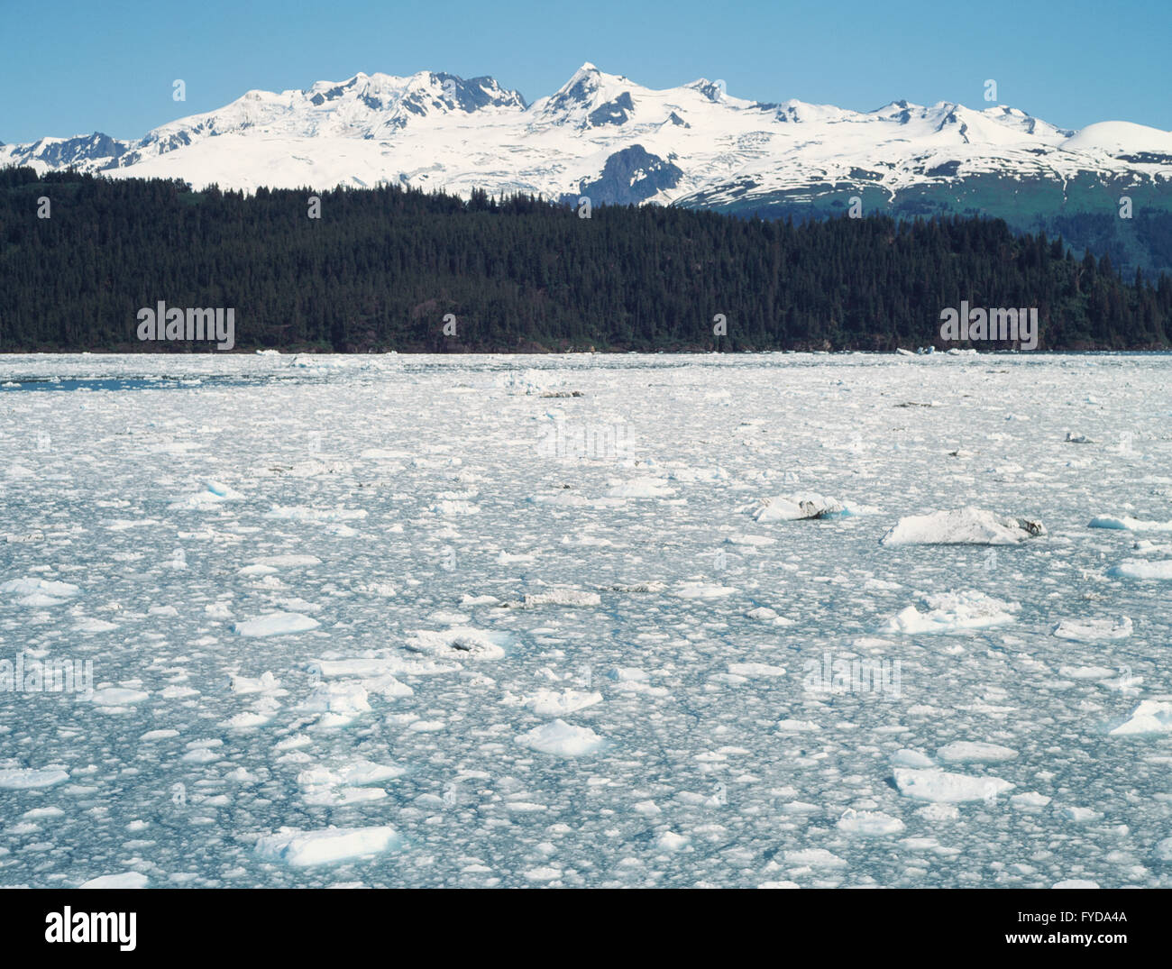 Berge und Gletscher in Alasksa Stockfoto