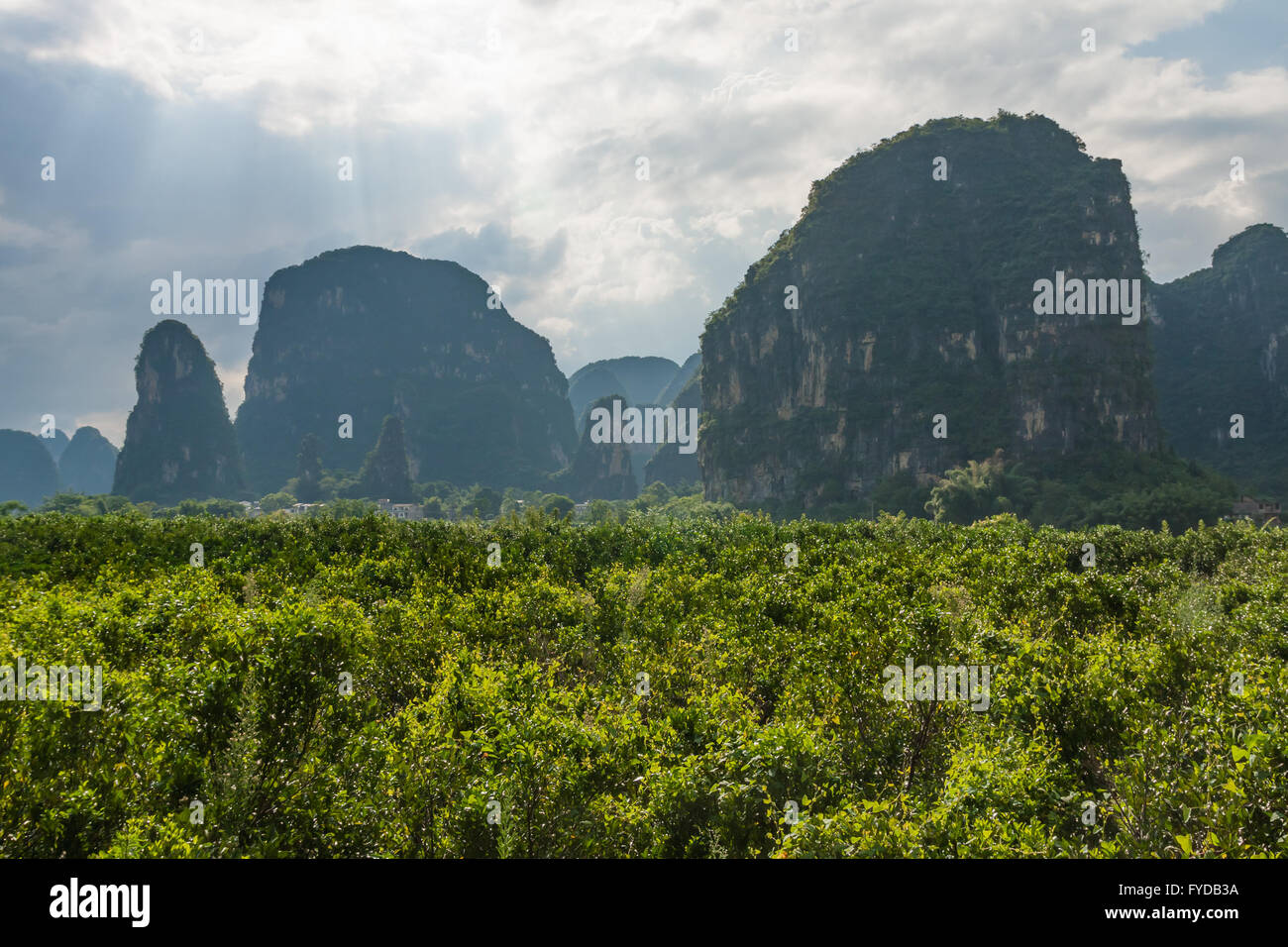 Karstberge in Yangshuo china Stockfoto