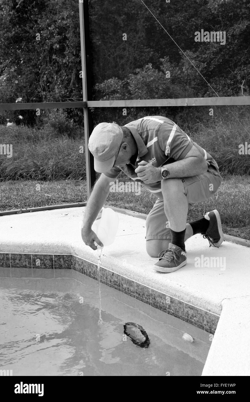 Reifer Mann tun Poolpflege zu seinem Florida Pool Zuhause, 25. April 2016 Stockfoto