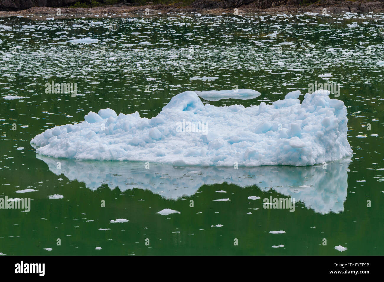 Kleine Eisschollen in der Nähe von Brujo Gletscher, Asien Fjord, Chile, Südamerika. Stockfoto