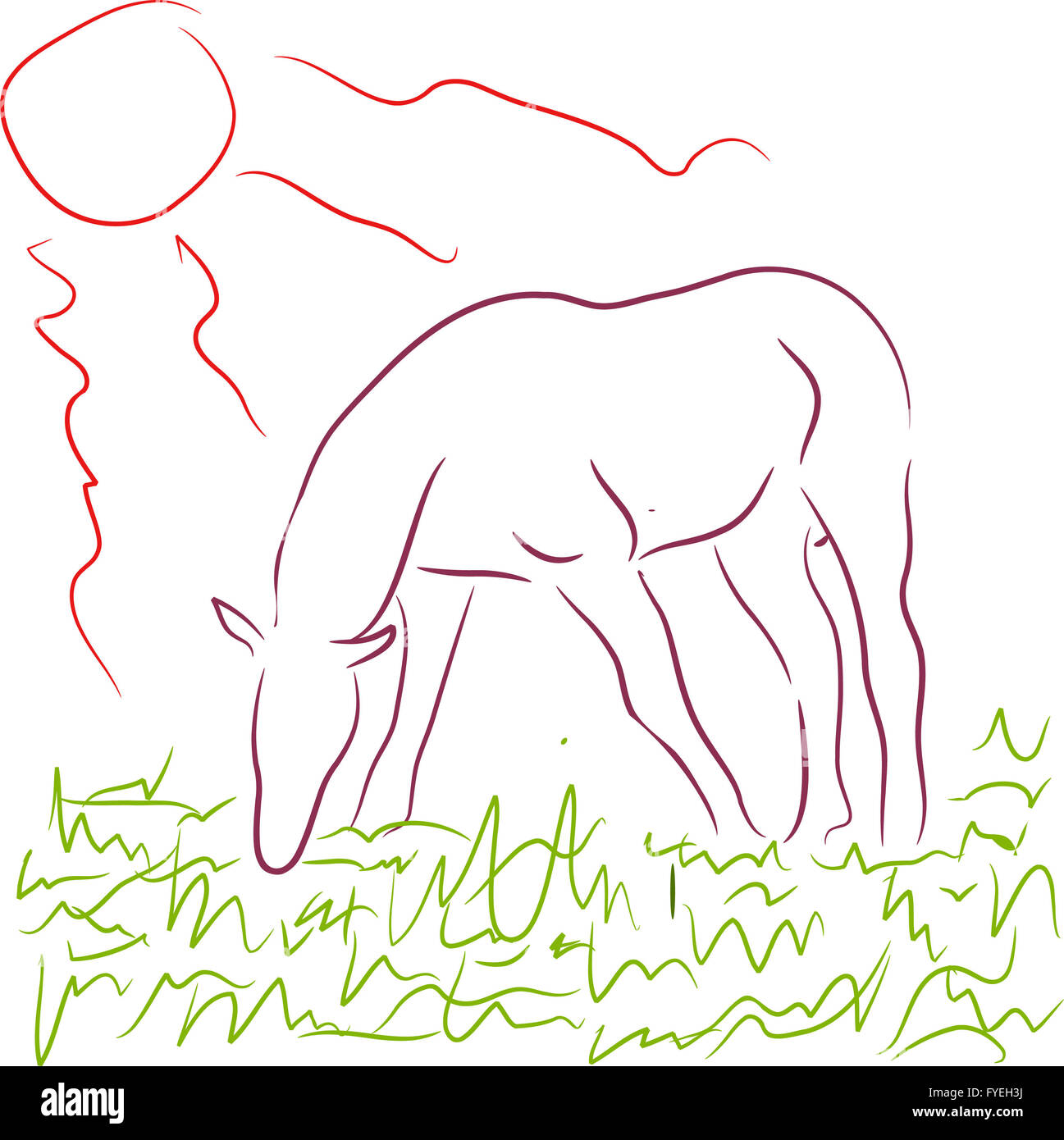 Pferd zwischen grünen Weiden grass Ander Sonne Stockfoto