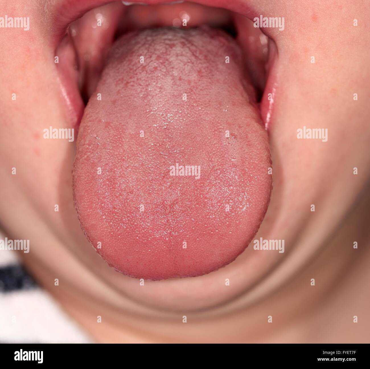 Ein 3-jähriges Mädchen mit der Zunge heraus Stockfoto