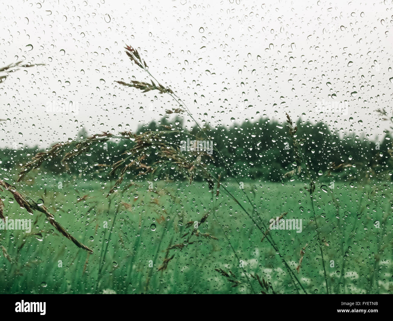 Regentropfen gegen eine wunderschöne grüne Landschaft. Stockfoto