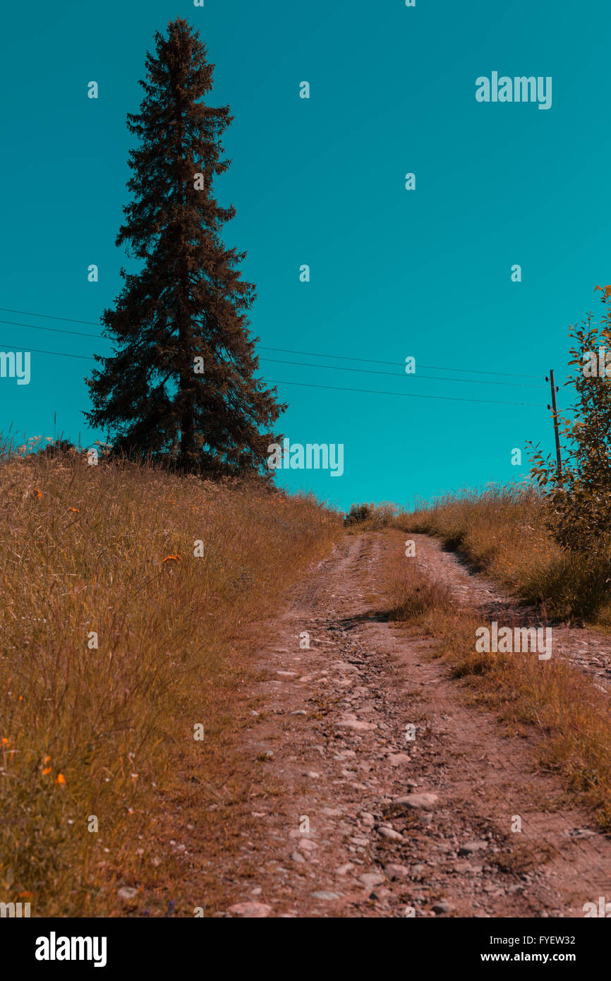 Autostraße zum Feld. Stockfoto