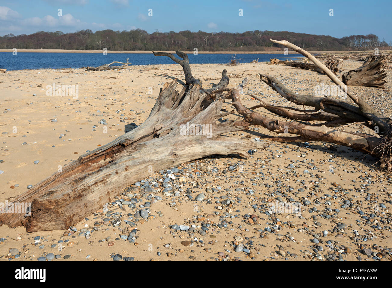 Auswirkungen der Küstenerosion aufgrund des Klimawandels ändern, Benacre Nature Reserve, Suffolk, England. Stockfoto