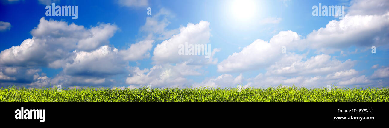 Sommer Landschaft panorama Stockfoto