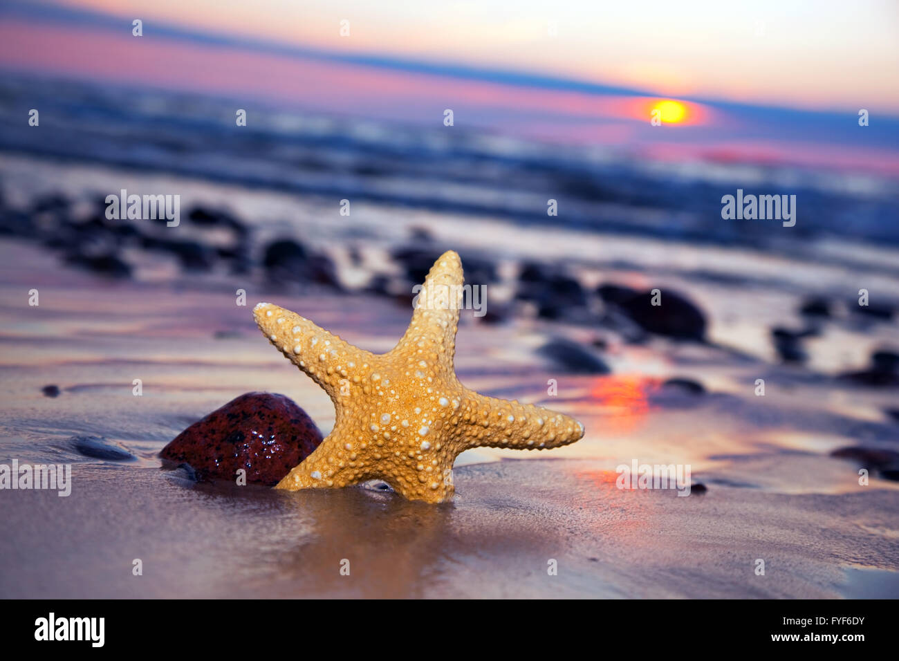 Seestern am Strand von romantischen Sonnenuntergang Stockfoto