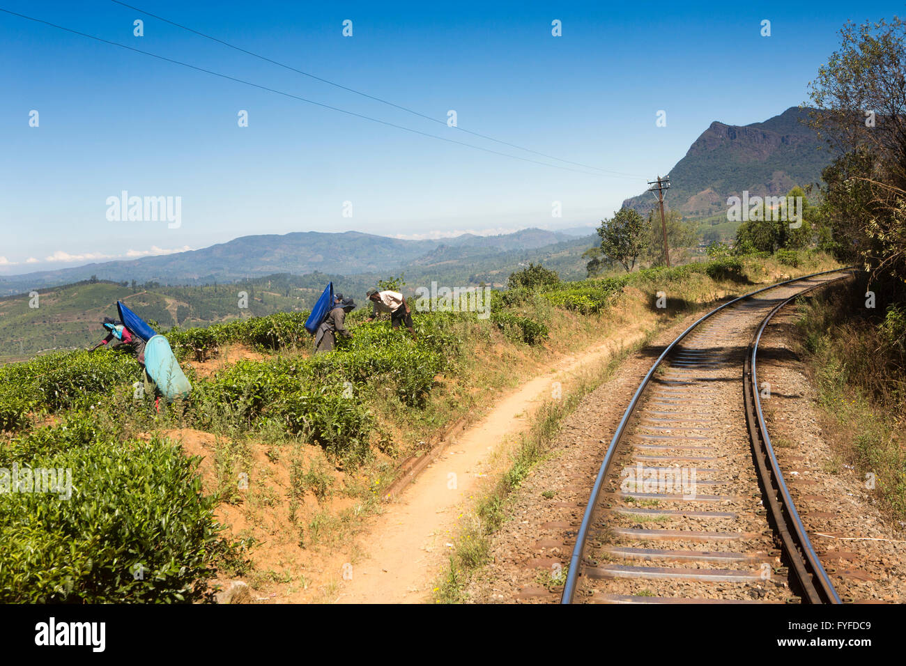 Sri Lanka, Nuwara Eliya, Nanu Oya, Frauen Tee neben Highland Eisenbahn Stockfoto