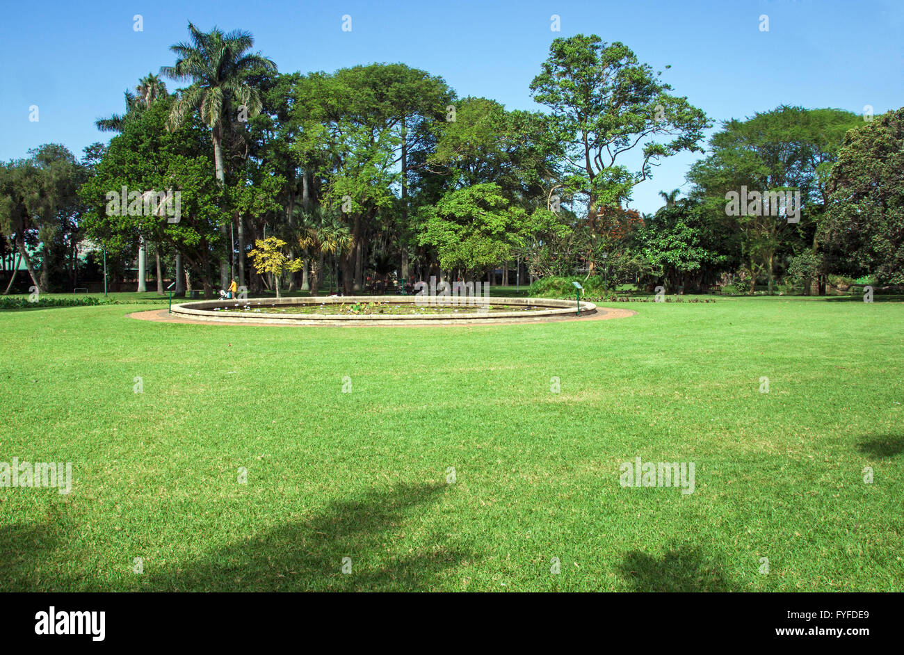 Grüner Rasen und Teich und Bäumen gegen Baum Skyline im Botanischen
