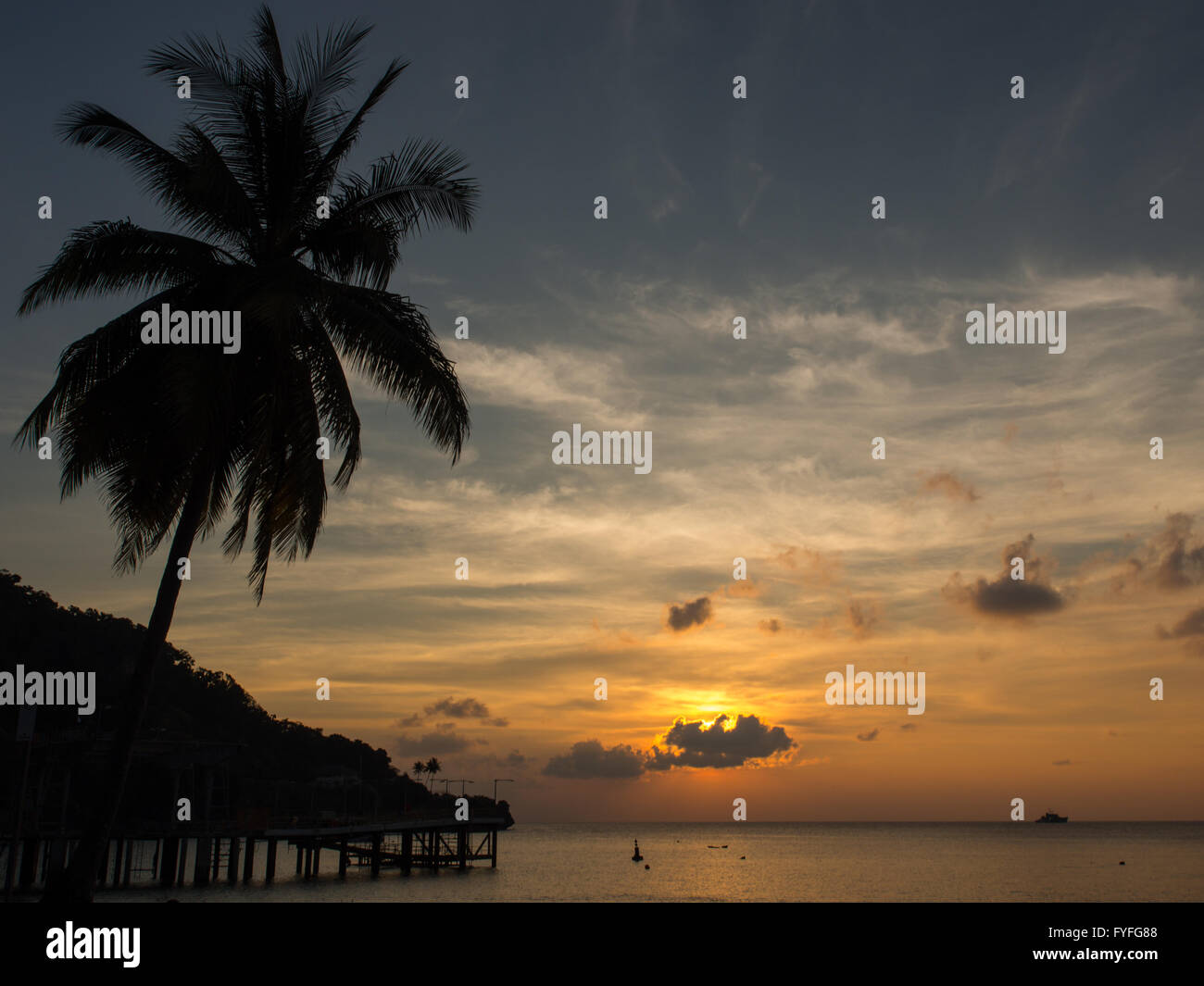 Palmen Sie, Sonnenuntergang, Weihnachtsinsel, Indian Ocean Territory von Australien Stockfoto
