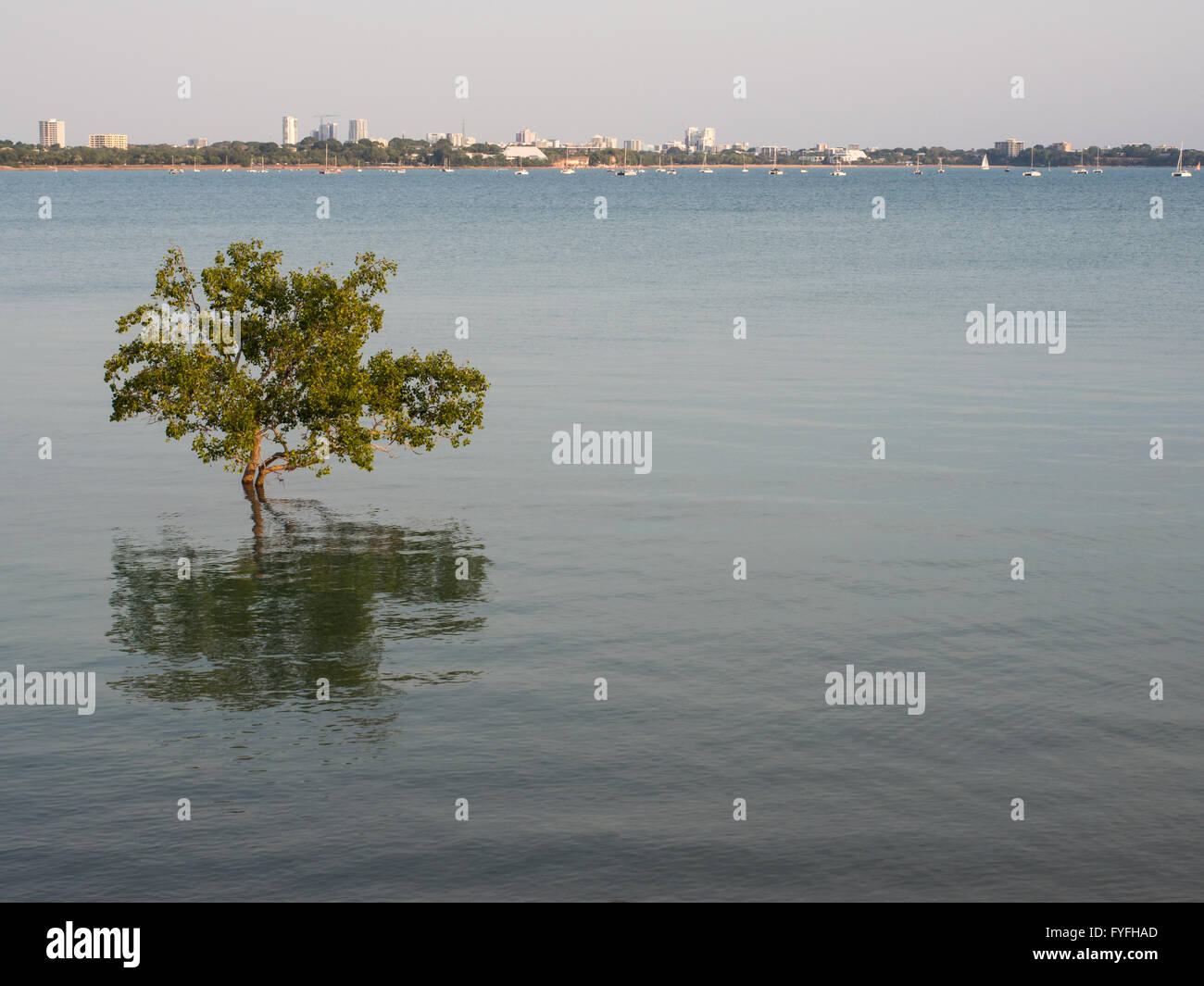Blick auf Darwin Stadt von East Point Reserve, Australien Stockfoto