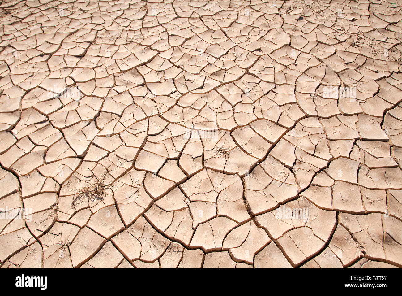 Umweltkonzept, Wasserknappheit und Dürre geknackt Dry Mud fotografiert in der Negev-Wüste, Israel Stockfoto