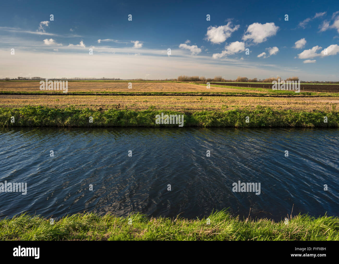 Agrarlandschaft von der englischen Gesell-nahe Thorney, Cambridgeshire, England, UK, mit Abfluss und blauer Himmel mit Cumulus-Wolken Stockfoto