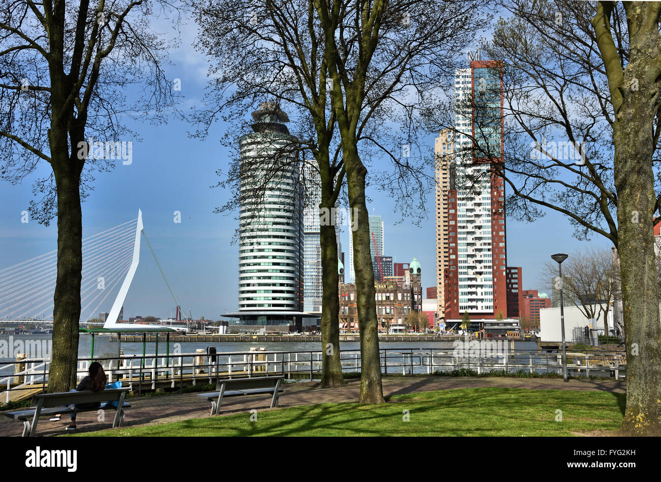 World Port Center (Kop van Zuid) Montevideo Hotel New York Rotterdam Niederlande Niederländisch (neue Maas Fluss Erasmus Brücke Schwan) Stockfoto