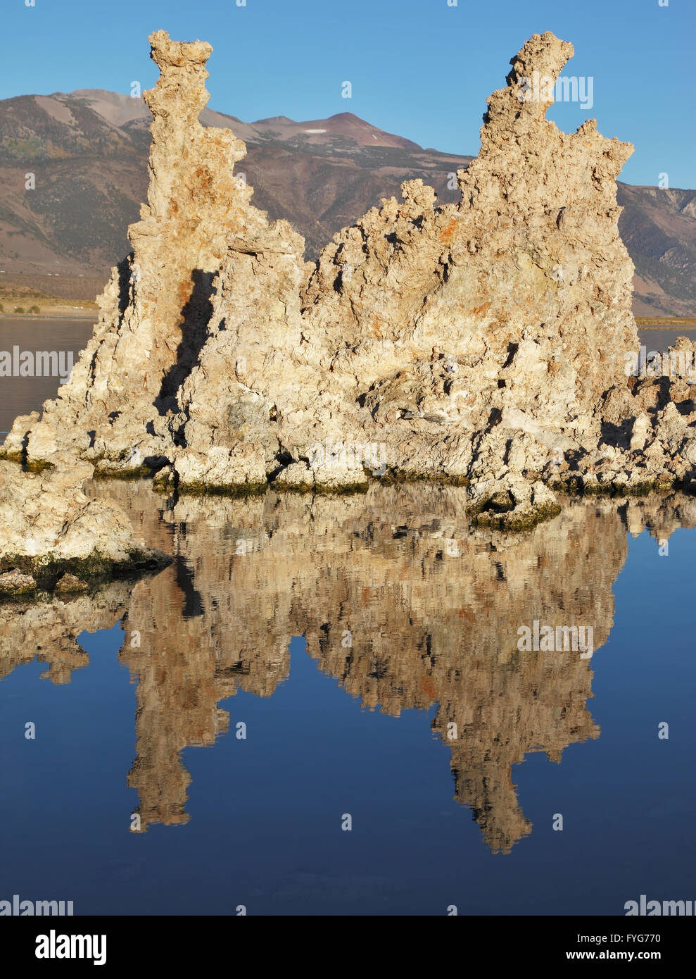 Lake Tufa Stalagmiten spiegelt sich in den Gewässern Stockfoto