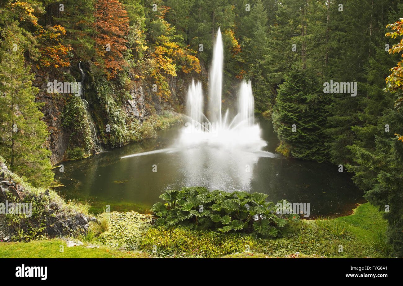 Herrliche Brunnen in Butchard-Garten in Kanada Stockfoto