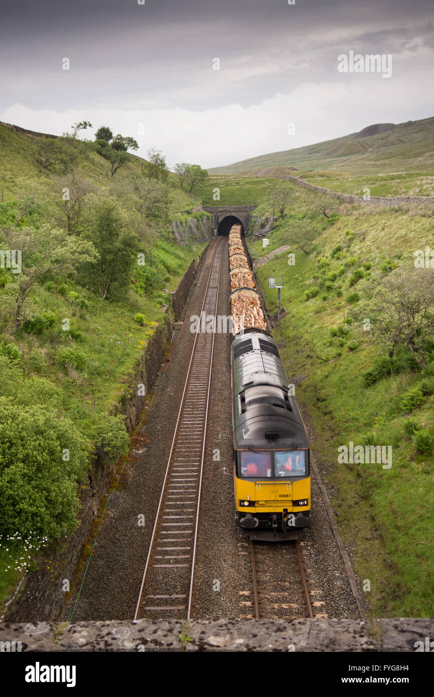 Carlisle, England - 2. Juli 2015: A Klasse 60 Lokomotive schleppen einen Güterzug von Holz durch Blea Moor Tunnel auf dem Gipfel Stockfoto