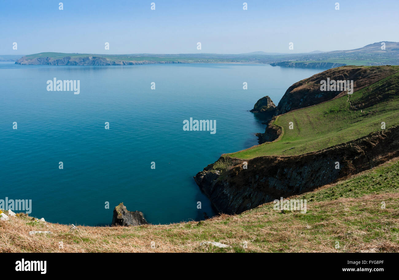 Newport Bay von Dinas Insel an der Küste von Pembrokeshire, Wales mit Pwll Glas in den Vordergrund und die Nadel Rock in der Mitte der Masse Stockfoto