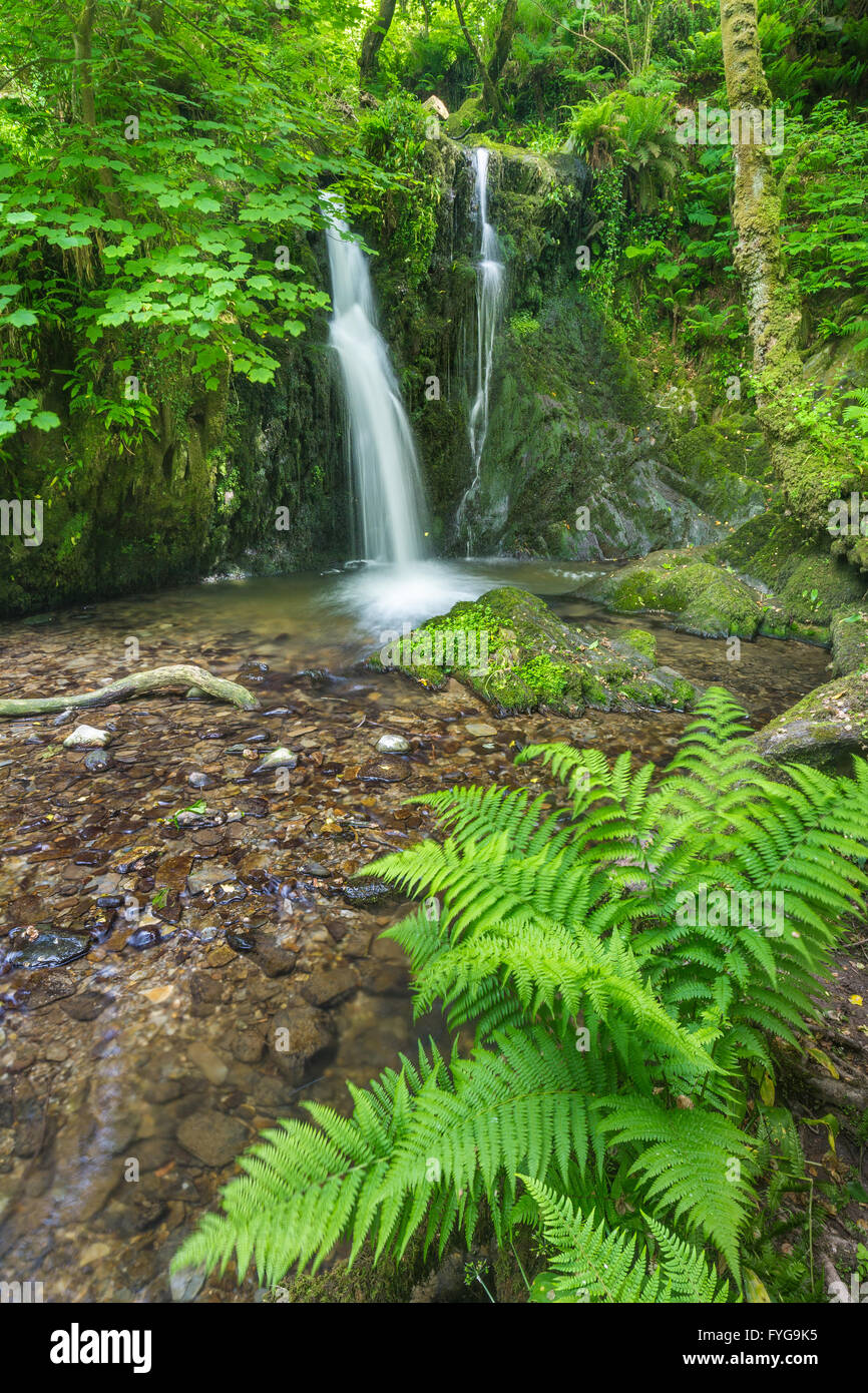 Aberfforest Wasserfall - Pembrokeshire Stockfoto