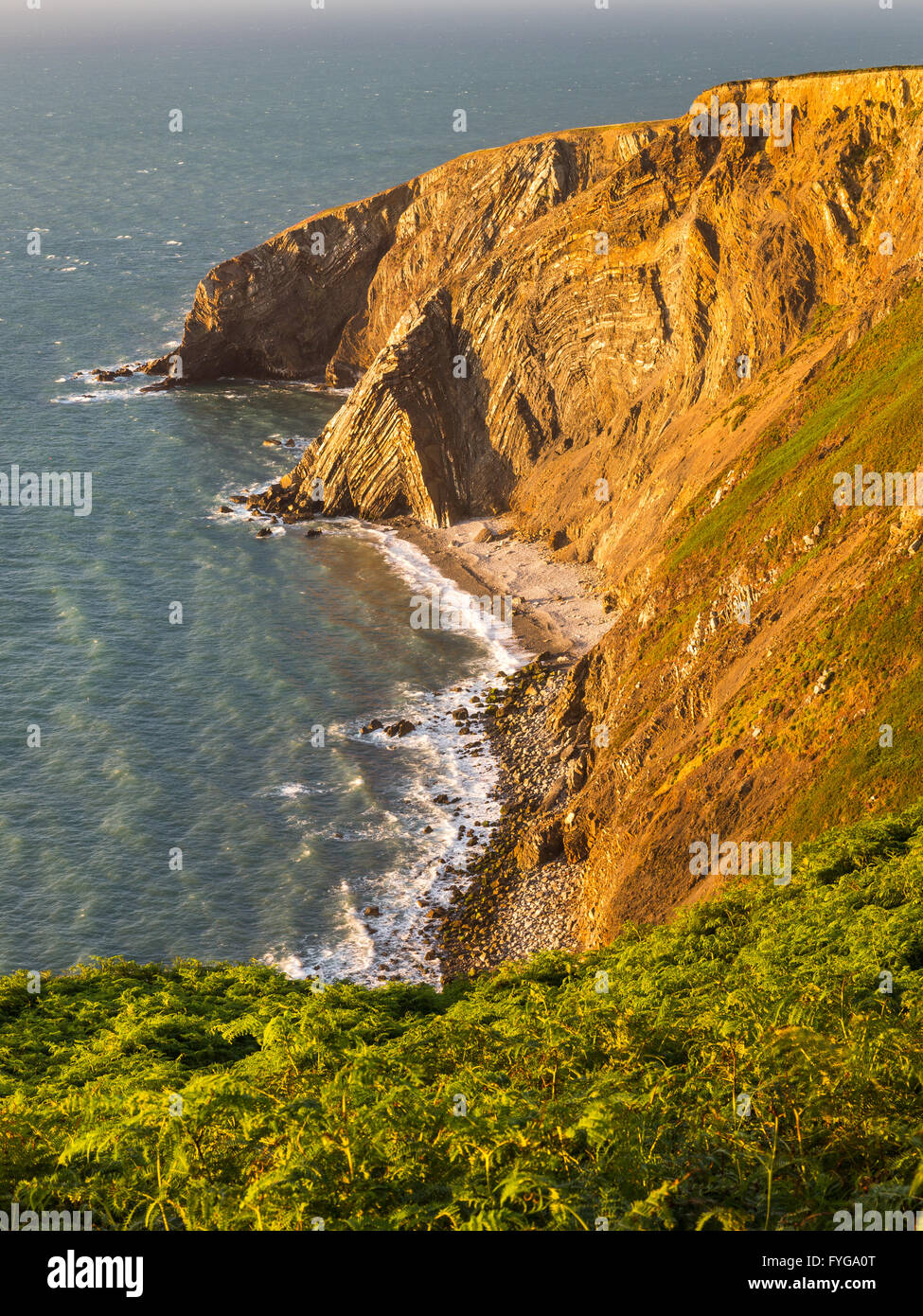 Cemaes Head Felsformationen - Pembrokeshire Stockfoto