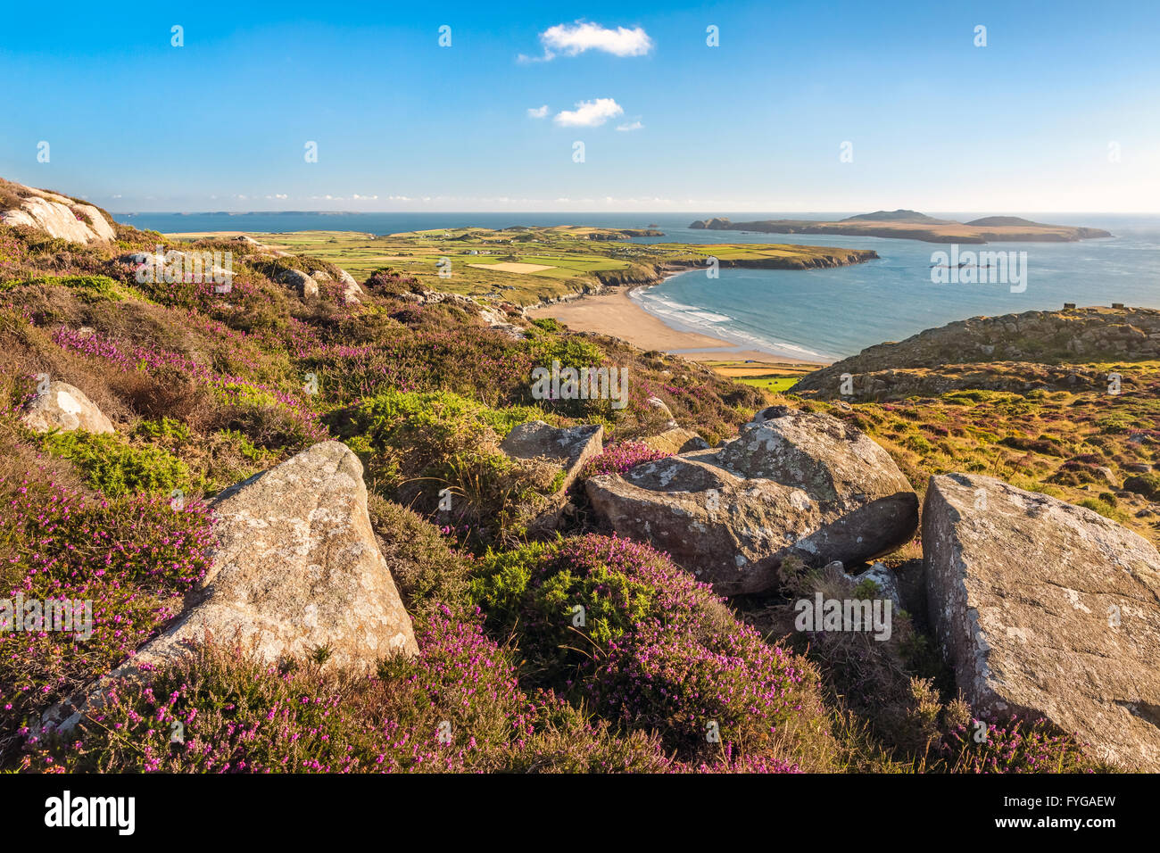 Küsten Blick hinunter auf Whitesands Bay und Ramsey Island Carn Llidi Gipfel an der Küste von Pembrokeshire Norden entnommen Stockfoto
