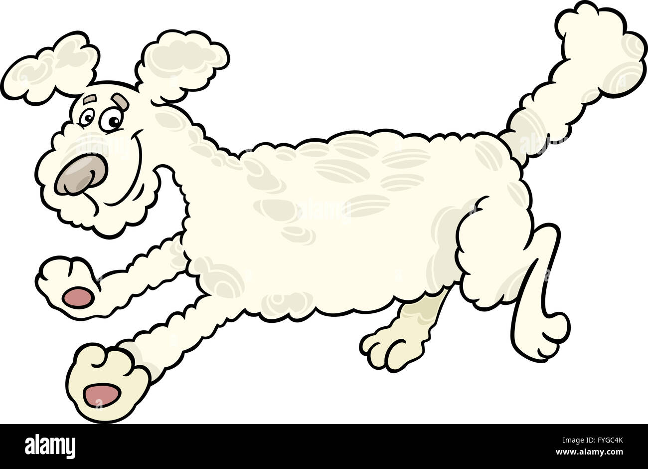 Pudel Hund Cartoon Illustration ausgeführt Stockfoto