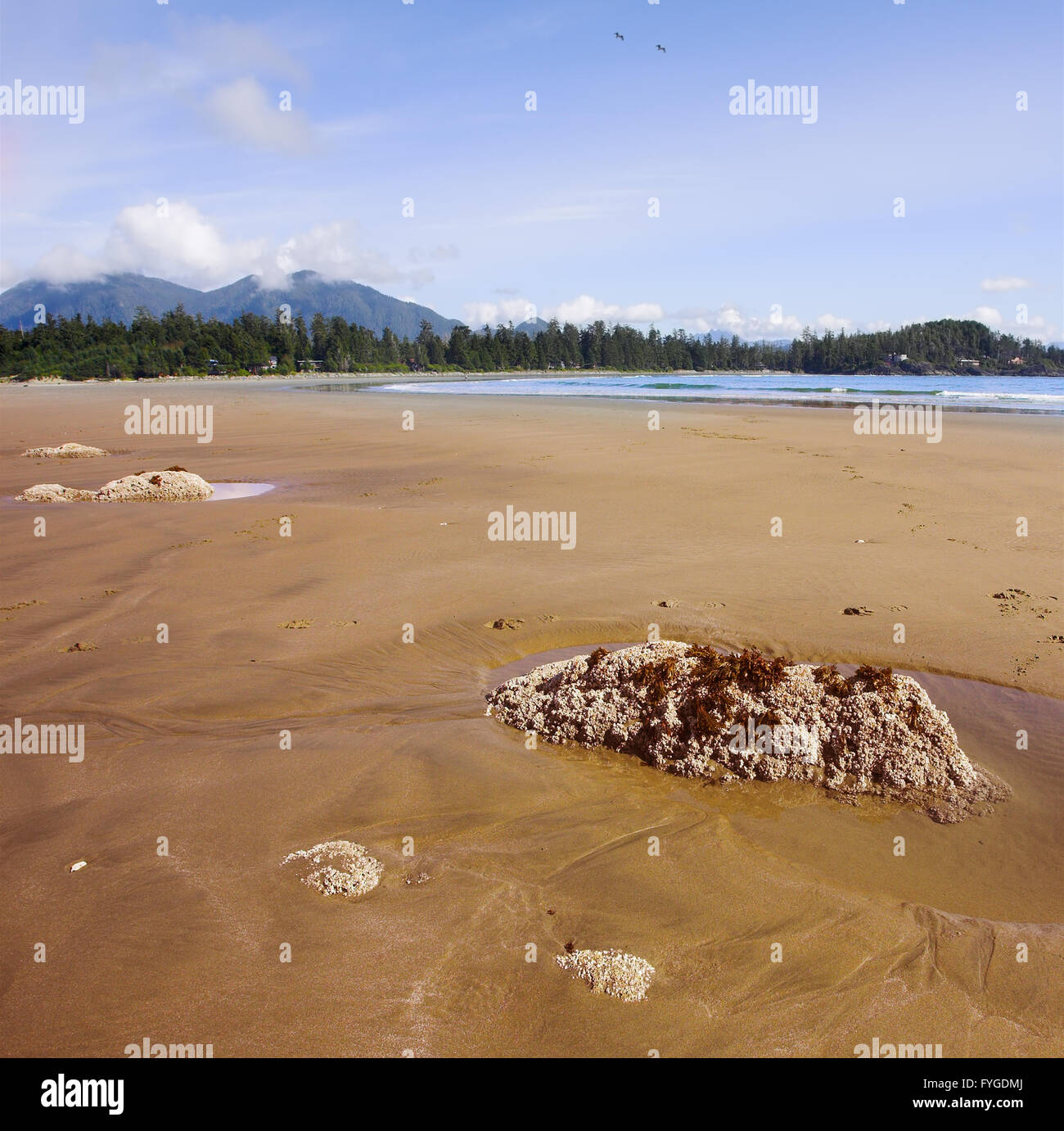 Die Dünen an der Westküste von Vancouver Insel Stockfoto