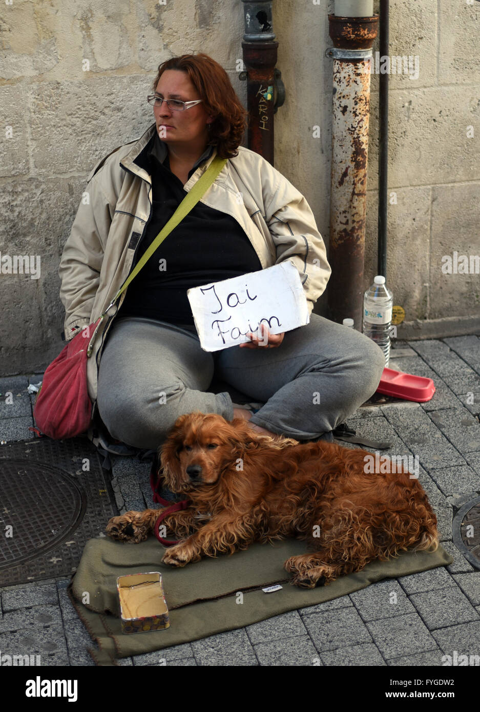 Fett hungrig Französin Bettler Hund Straße betteln Stockfoto