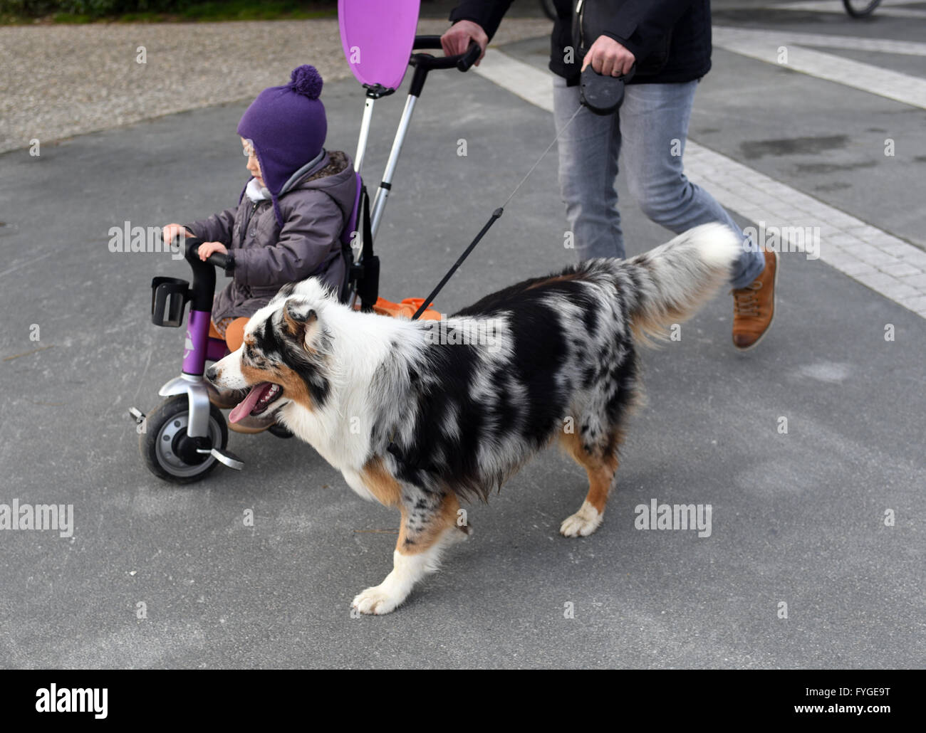 Kind Kleinkind Trike Hund zu Fuß Kind ungewöhnliche gesprenkelt Stockfoto