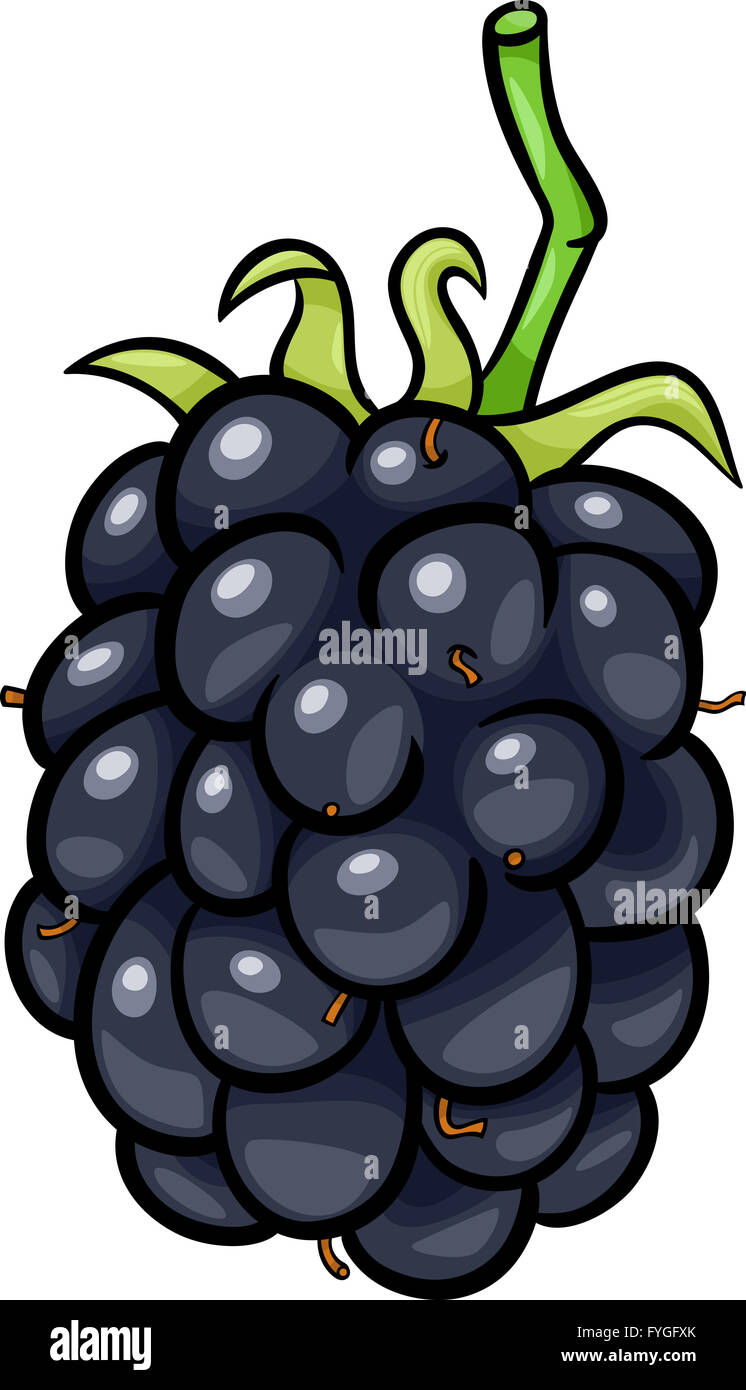 Brombeere Frucht Cartoon Illustration Stockfotografie Alamy