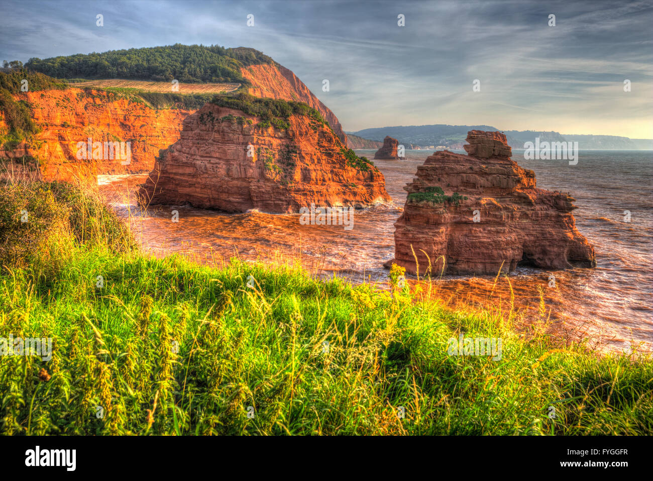 Sandstein Felsen Stapel UK Jurassic Küste Ladram Bay Devon England UK befindet sich zwischen Budleigh Salterton und Sidmouth HDR Stockfoto