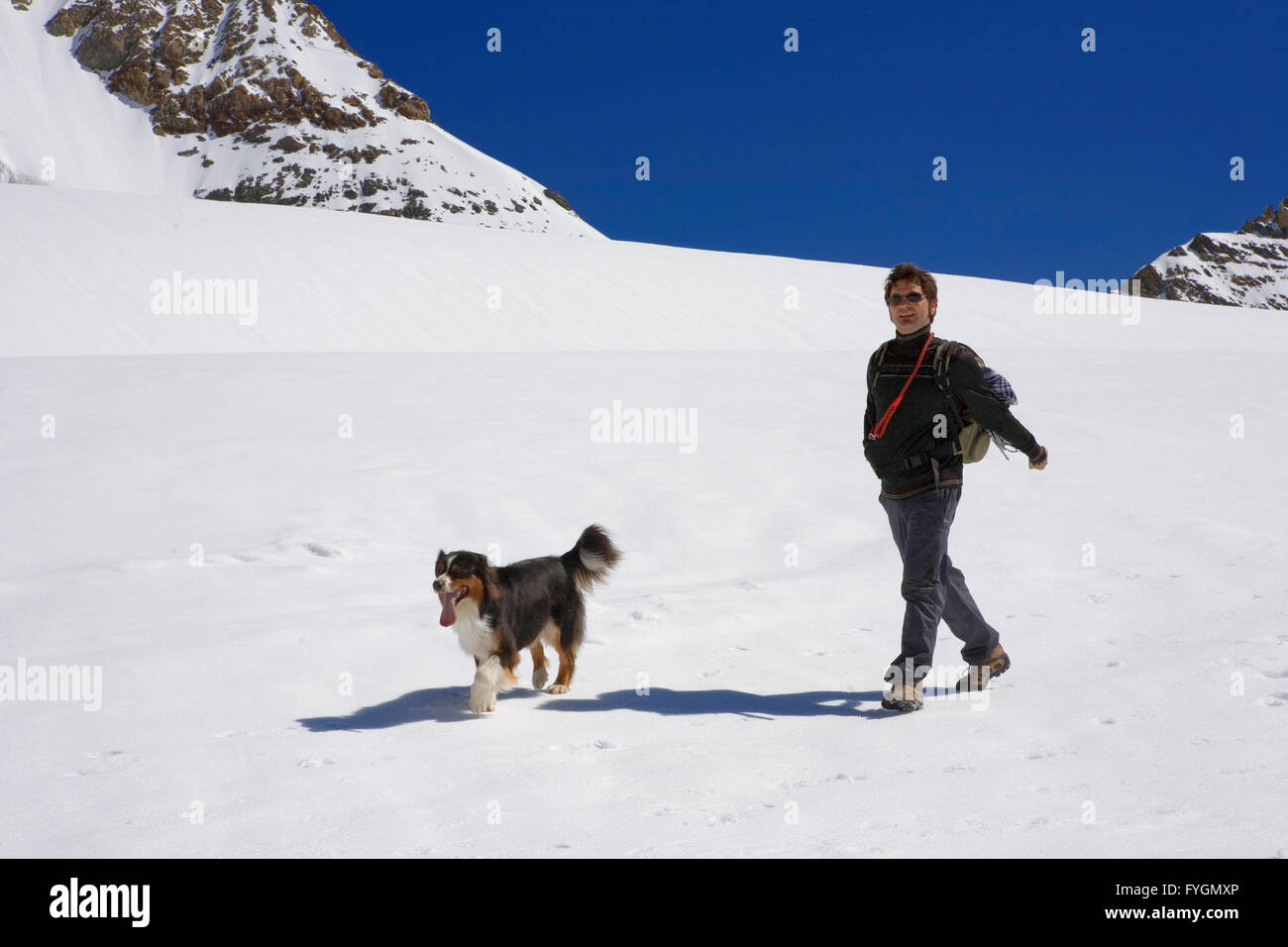 Ein Mann und sein Hund Spaziergänge am "Top of Europe" auf dem Jungfraufirn  Gletscher, Jungfraujoch, Berner Oberland, Schweiz Stockfotografie - Alamy