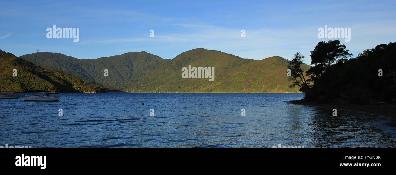 Endeavour Inlet, Marlborough Sounds Stockfoto