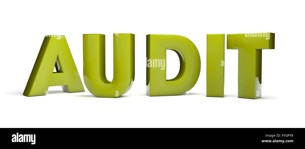 Audit-Text isoliert auf weißem Hintergrund Stockfoto