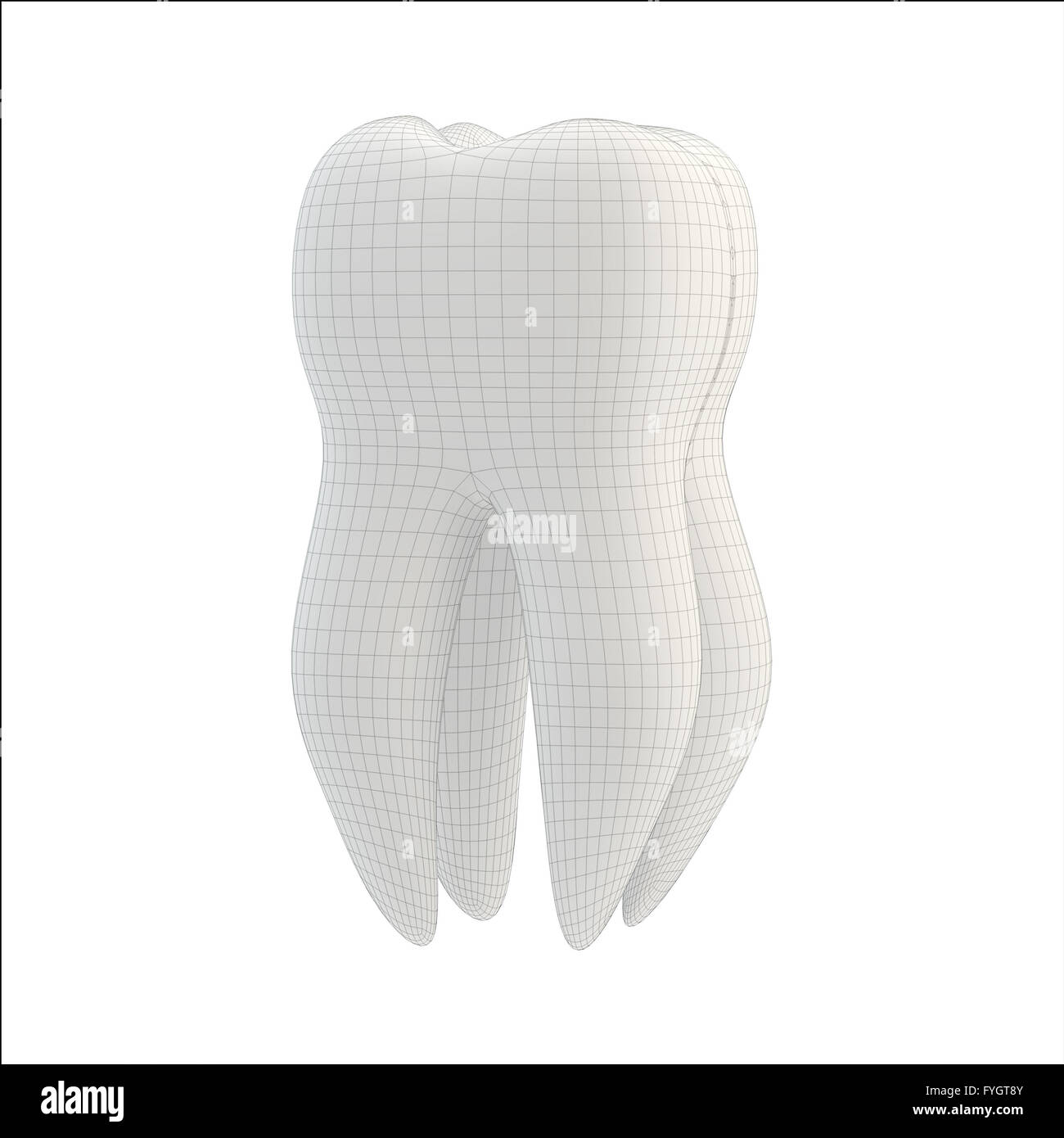 Zahn-Technologie-Konzept: Zahn mit technischen 3D-Linien isoliert Stockfoto