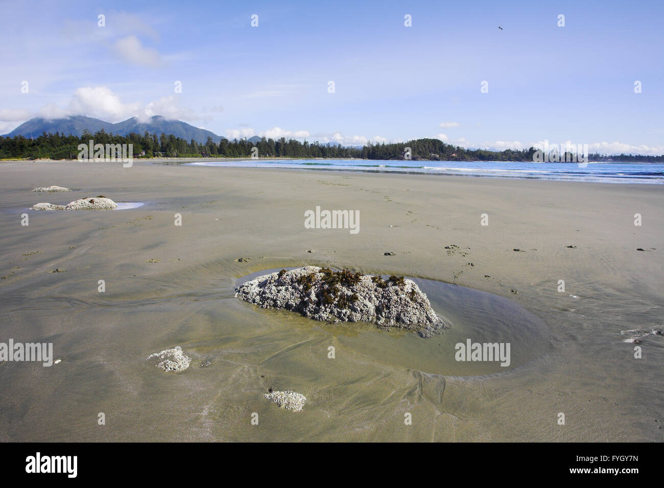 Riesiger Sandstrand an der Küste von Vancouver island Stockfoto