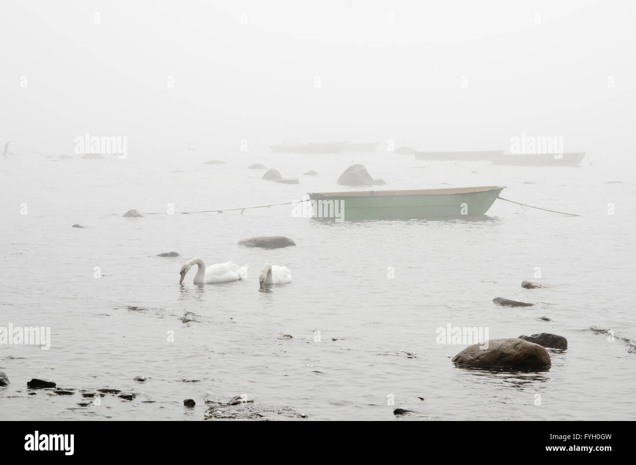 Altes Fischerboot an Küste Nebel am Morgen Stockfoto
