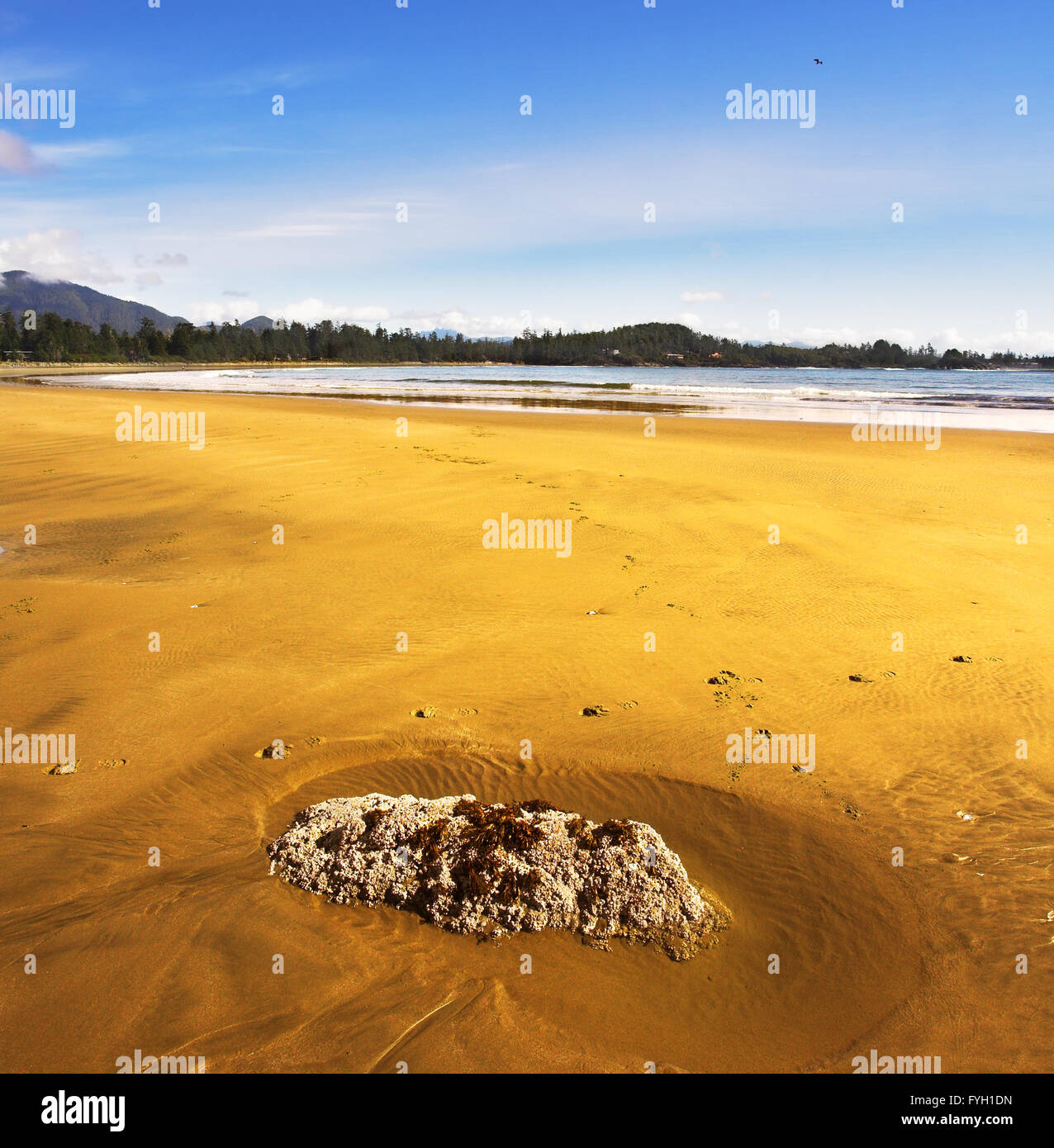 Riesiger Sandstrand Insel Vancouver in Kanada Stockfoto