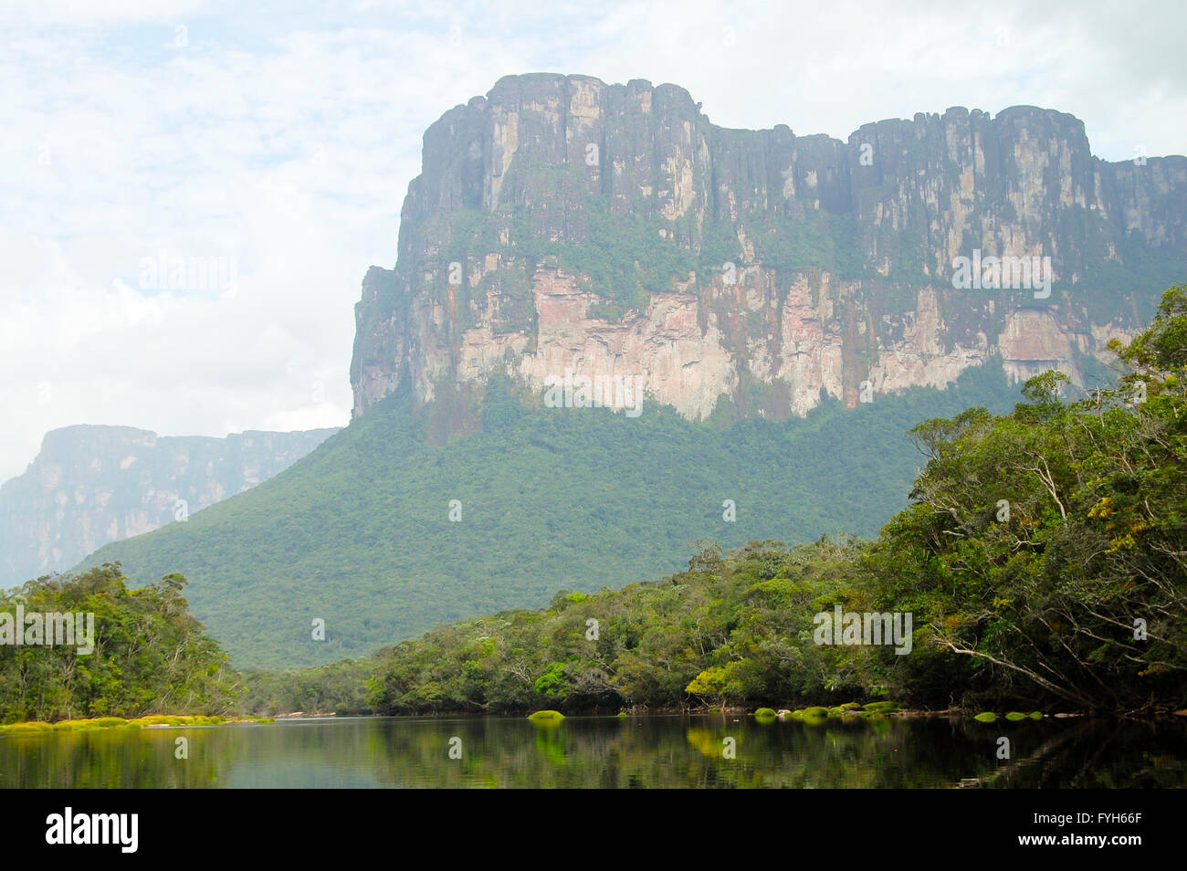 Canaima-Nationalpark - Venezuela Stockfoto