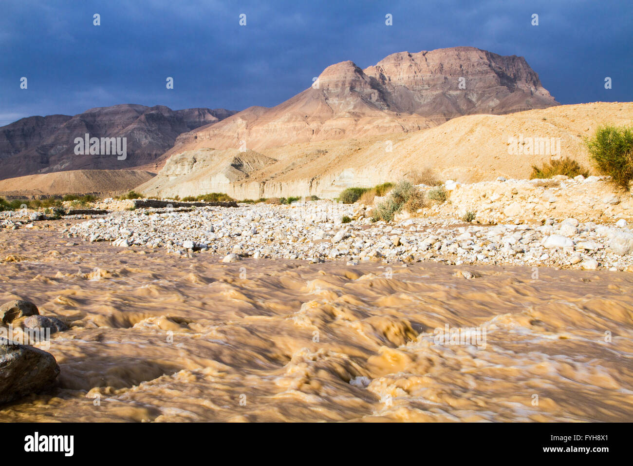 Winter-Sturzflut in der Judäischen Wüste, israel Stockfoto