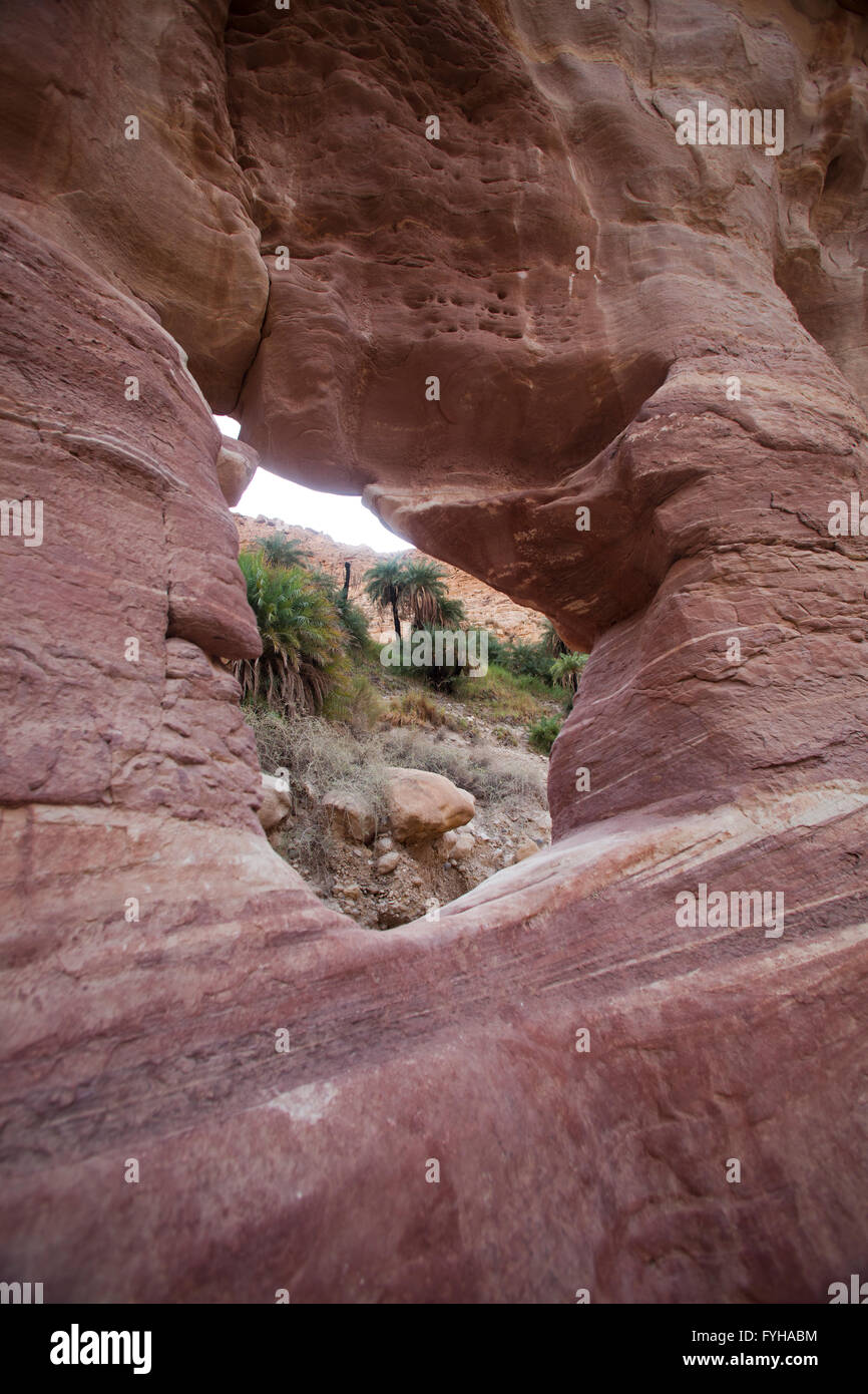 Felsformation im Wadi Zered (Wadi Hassa oder Hasa) im westlichen Jordanien. Ein Sand Stone Canyon mit Frash fließendes Wasser Stockfoto