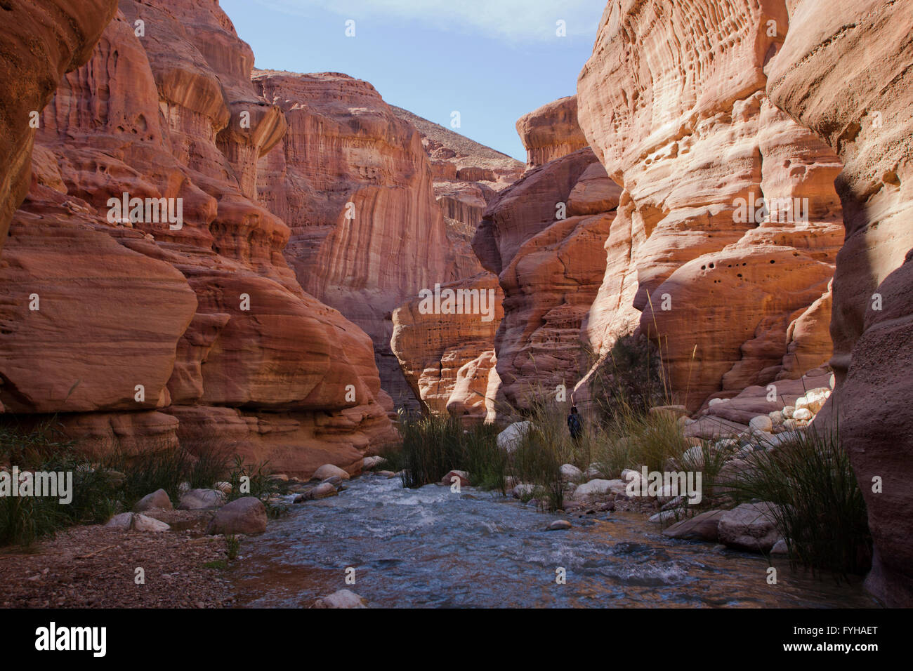 Wadi Zered (Wadi Hassa oder Hasa) im westlichen Jordanien. Ein Sand Stone Canyon mit Frash fließendes Wasser Stockfoto